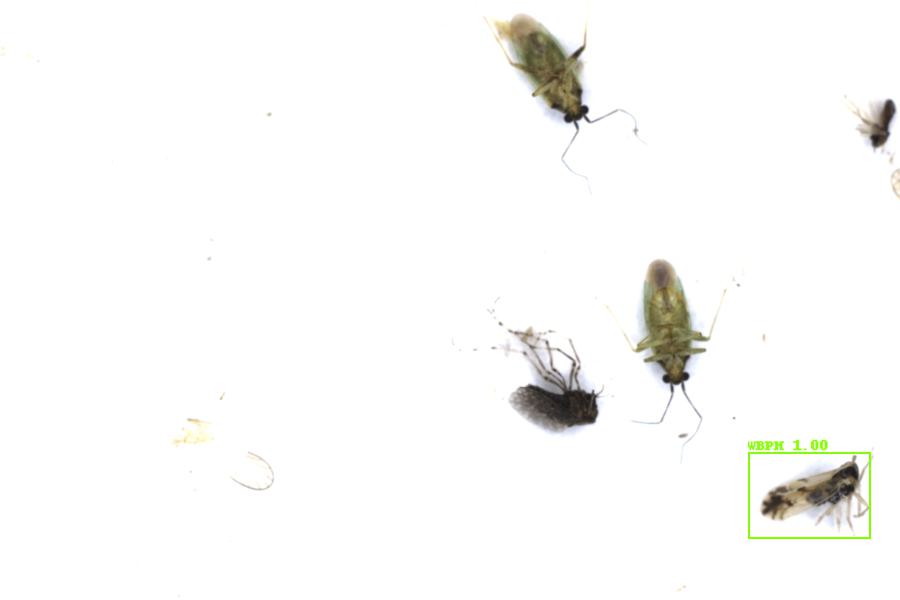 Image 8